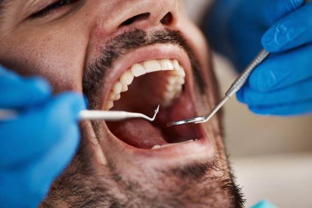 Professional Holistic Dental Care Services in Little Walnut Village, NM